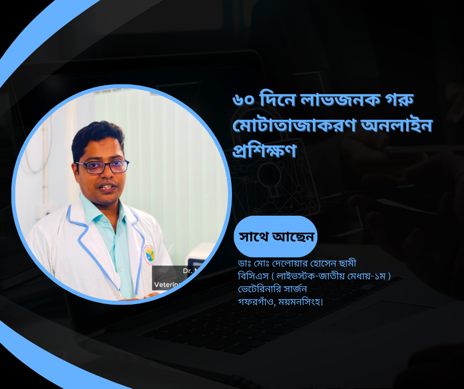 ৬০ দিনে লাভজনক গরু মোটাতাজাকরণ অনলাইন প্রশিক্ষণ